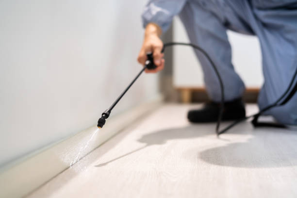 Licensed Pest Control service in Edinburg, VA - Show Me Pest Control