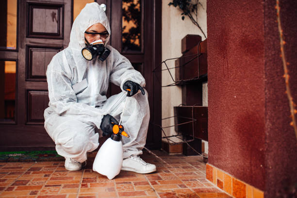 Reliable Ant Control contractor in Edinburg, VA by Show Me Pest Control